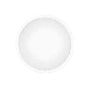 Xiaomi Smart Ceiling Light D30